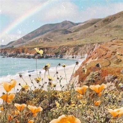 台湾福星彩app下载