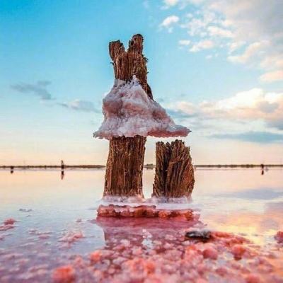 万博手机版max网页版(中国)官方网站