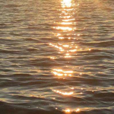 火狐体育下载appapp下载截图